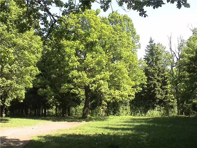 50 лет Октября икша
