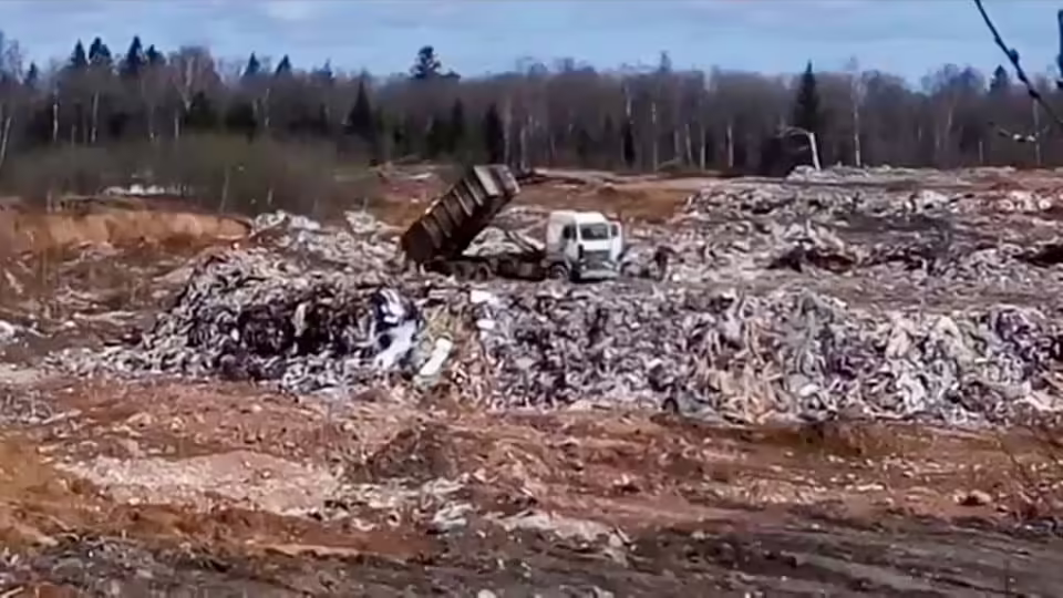 Экология в стихах икша