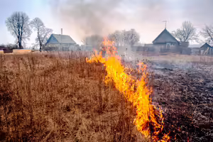 пал сухой травы икша