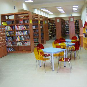 Библиотека в песелке Икша