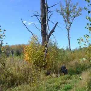 dacha-iksha-30