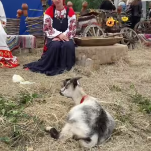 den-polya-14