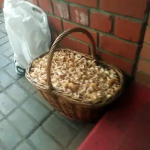 Итоговый улов