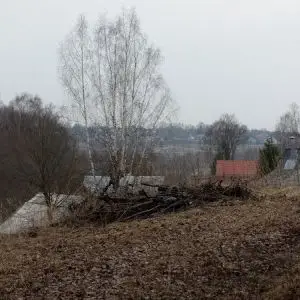Лесные холмы в Икше