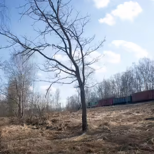 Товарняк у станции Икша