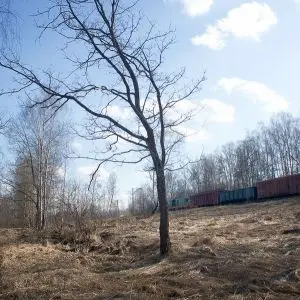 Товарняк у станции Икша