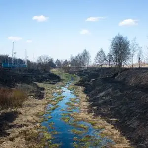 iksha-vesna-