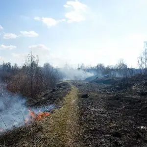 iksha-vesna-