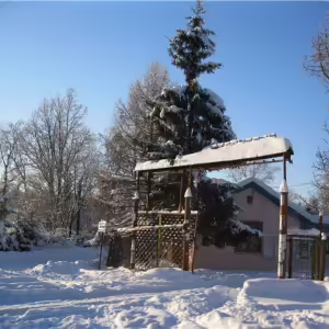 snt-stroitel-iksha-12