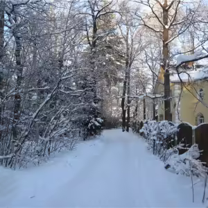 snt-stroitel-iksha-5