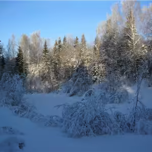 snt-stroitel-iksha-6