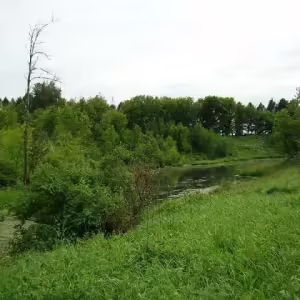 Река Икшанка