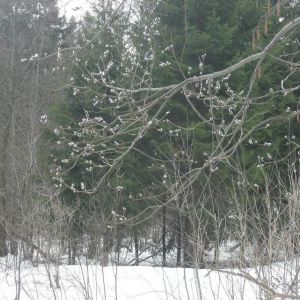 zimnij-otdyh-iksha-5