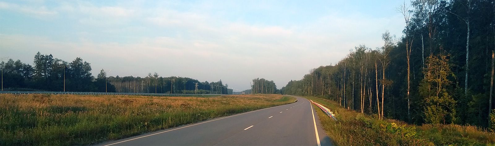 грибы икша